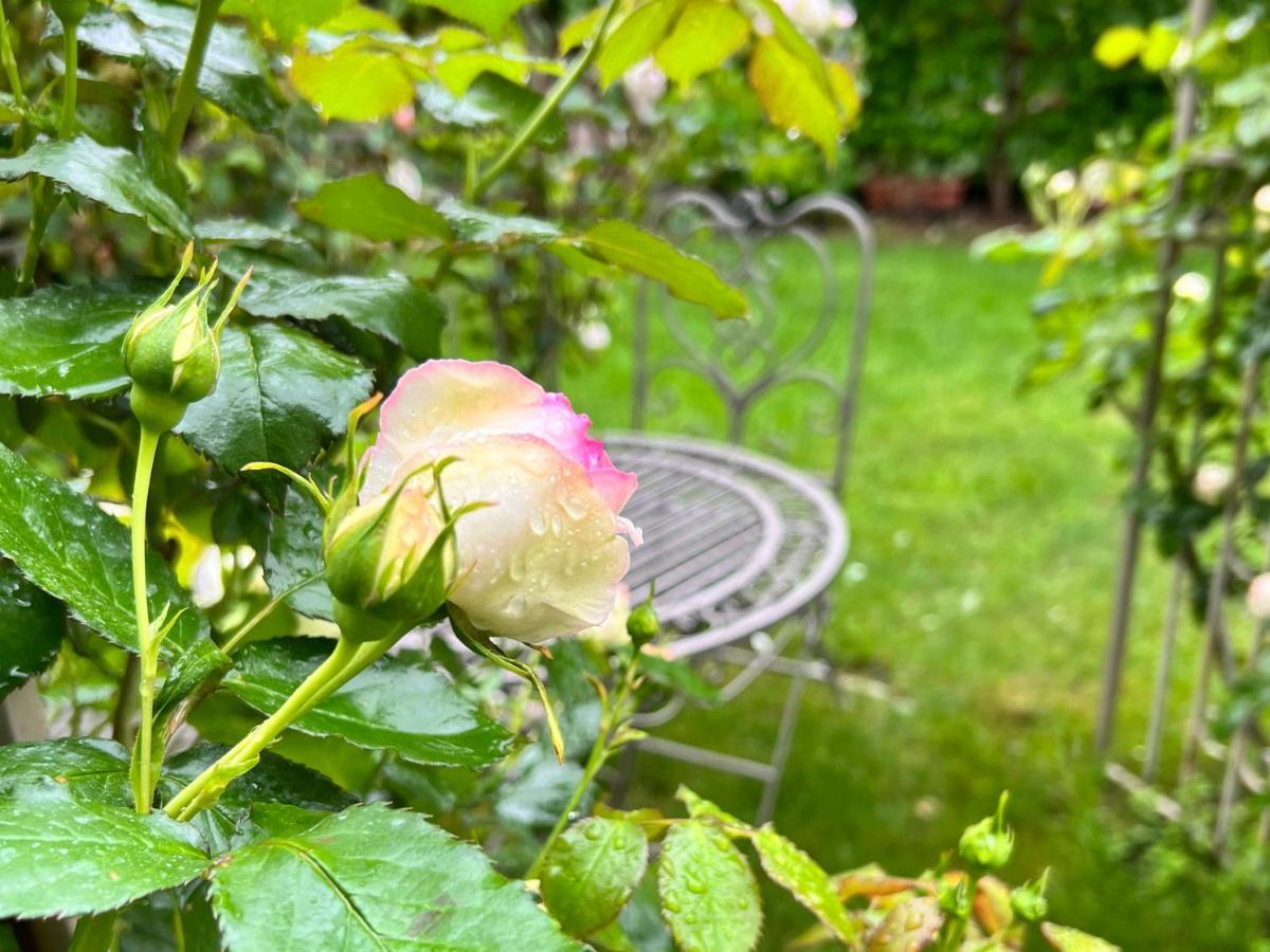 La Finestra Sul Giardino - B&B Cavedine ภายนอก รูปภาพ