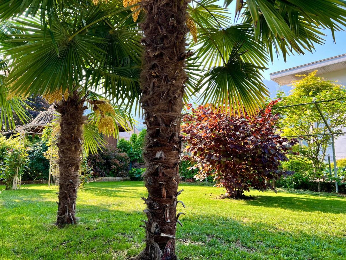 La Finestra Sul Giardino - B&B Cavedine ภายนอก รูปภาพ